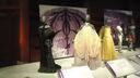 Filename=DSC04639.JPG
Filesize=303KiB
Dimensions=1080x608
Date added=Mar 26, 2024 DSC04639.JPG