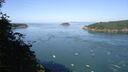 Filename=DSC04747.JPG
Filesize=241KiB
Dimensions=1080x608
Date added=Mar 26, 2024 DSC04747.JPG