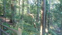 Filename=DSC04763.JPG
Filesize=369KiB
Dimensions=1080x608
Date added=Mar 26, 2024 DSC04763.JPG