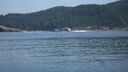 Filename=DSC04767.JPG
Filesize=275KiB
Dimensions=1080x608
Date added=Mar 26, 2024 DSC04767.JPG