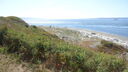 DSC04794.JPG