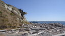 DSC04795.JPG
