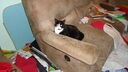 Filename=DSC04920.JPG
Filesize=308KiB
Dimensions=1080x608
Date added=Mar 26, 2024 DSC04920.JPG
