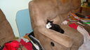 Filename=DSC04921.JPG
Filesize=309KiB
Dimensions=1080x608
Date added=Mar 26, 2024 DSC04921.JPG
