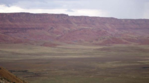 DSC00376.jpg