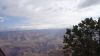 DSC00444.jpg