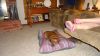 DSC00729.jpg