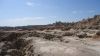 DSC00794.jpg