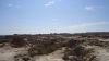 DSC00795.jpg