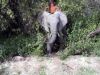 Filename=BETH.jpg
Filesize=73KiB
Dimensions=640x480
Date added=Mar 26, 2024 BETH.jpg