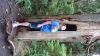 DSC01344.jpg