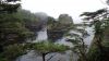 DSC01358.jpg