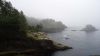 DSC01369.jpg