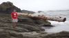 DSC01397.jpg