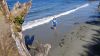 DSC01415.jpg