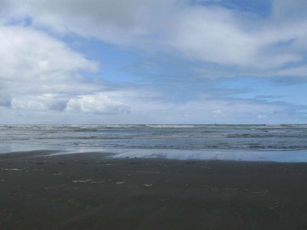 IMG_2815.jpg