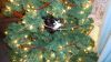 Filename=DSC00969.png
Filesize=768KiB
Dimensions=800x450
Date added=Mar 26, 2024 DSC00969.png