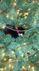 Filename=DSC00970.png
Filesize=2449KiB
Dimensions=800x1421
Date added=Mar 26, 2024 DSC00970.png
