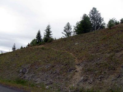 IMG_1941.jpg
