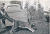 cougar3008.jpg