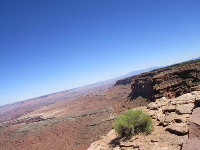 IMG_1442.jpg
