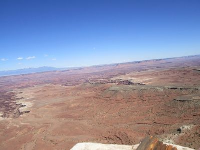 IMG_1453.jpg