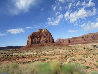 IMG_1488.jpg