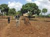 Filename=anthill.JPG
Filesize=600KiB
Dimensions=1024x768
Date added=Mar 26, 2024 anthill.JPG