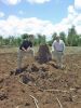 Filename=chuckanthil.JPG
Filesize=587KiB
Dimensions=768x1024
Date added=Mar 26, 2024 chuckanthil.JPG