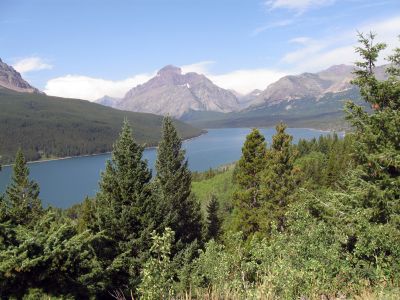 IMG_0065.jpg