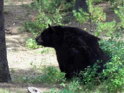 IMG_0131.jpg