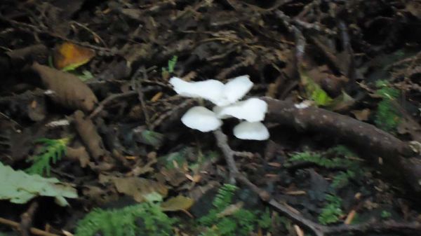 DSC01348.jpg