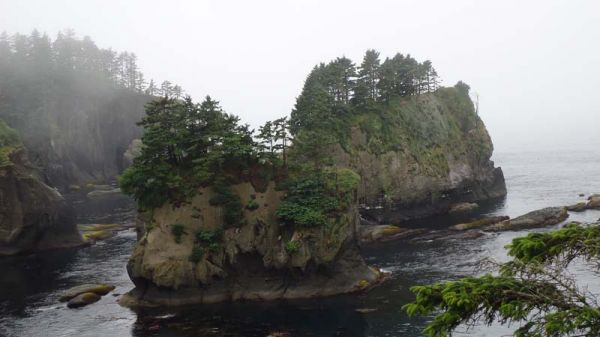 DSC01360.jpg