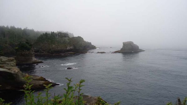 DSC01371.jpg