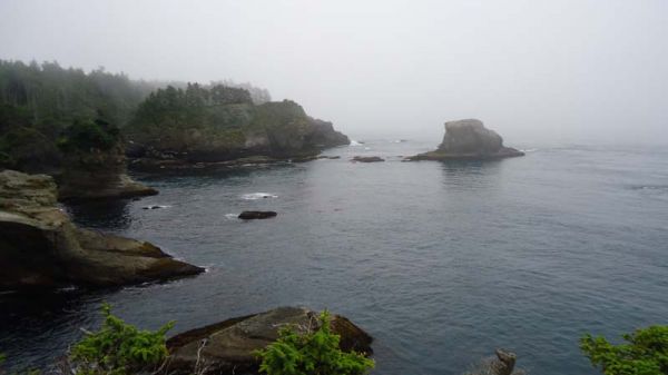 DSC01374.jpg