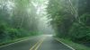 Filename=DSC01336.jpg
Filesize=84KiB
Dimensions=800x450
Date added=Mar 26, 2024 DSC01336.jpg