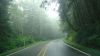 Filename=DSC01337.jpg
Filesize=71KiB
Dimensions=800x450
Date added=Mar 26, 2024 DSC01337.jpg