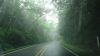 Filename=DSC01338.jpg
Filesize=67KiB
Dimensions=800x450
Date added=Mar 26, 2024 DSC01338.jpg