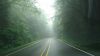 Filename=DSC01340.jpg
Filesize=61KiB
Dimensions=800x450
Date added=Mar 26, 2024 DSC01340.jpg