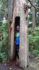 Filename=DSC01346A.jpg
Filesize=136KiB
Dimensions=450x800
Date added=Mar 26, 2024 DSC01346A.jpg