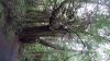 Filename=DSC01350.jpg
Filesize=140KiB
Dimensions=800x450
Date added=Mar 26, 2024 DSC01350.jpg