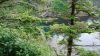 Filename=DSC01357.jpg
Filesize=158KiB
Dimensions=800x450
Date added=Mar 26, 2024 DSC01357.jpg