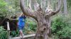 Filename=DSC01382.jpg
Filesize=144KiB
Dimensions=800x450
Date added=Mar 26, 2024 DSC01382.jpg