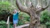 Filename=DSC01384.jpg
Filesize=144KiB
Dimensions=800x450
Date added=Mar 26, 2024 DSC01384.jpg