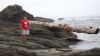 Filename=DSC01398.jpg
Filesize=79KiB
Dimensions=800x450
Date added=Mar 26, 2024 DSC01398.jpg