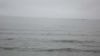 Filename=DSC01400.jpg
Filesize=39KiB
Dimensions=800x450
Date added=Mar 26, 2024 DSC01400.jpg