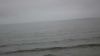 Filename=DSC01401.jpg
Filesize=39KiB
Dimensions=800x450
Date added=Mar 26, 2024 DSC01401.jpg