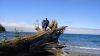 Filename=DSC01424.jpg
Filesize=75KiB
Dimensions=800x450
Date added=Mar 26, 2024 DSC01424.jpg