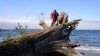 Filename=DSC01429.jpg
Filesize=84KiB
Dimensions=800x450
Date added=Mar 26, 2024 DSC01429.jpg