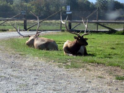 IMG_2116.jpg